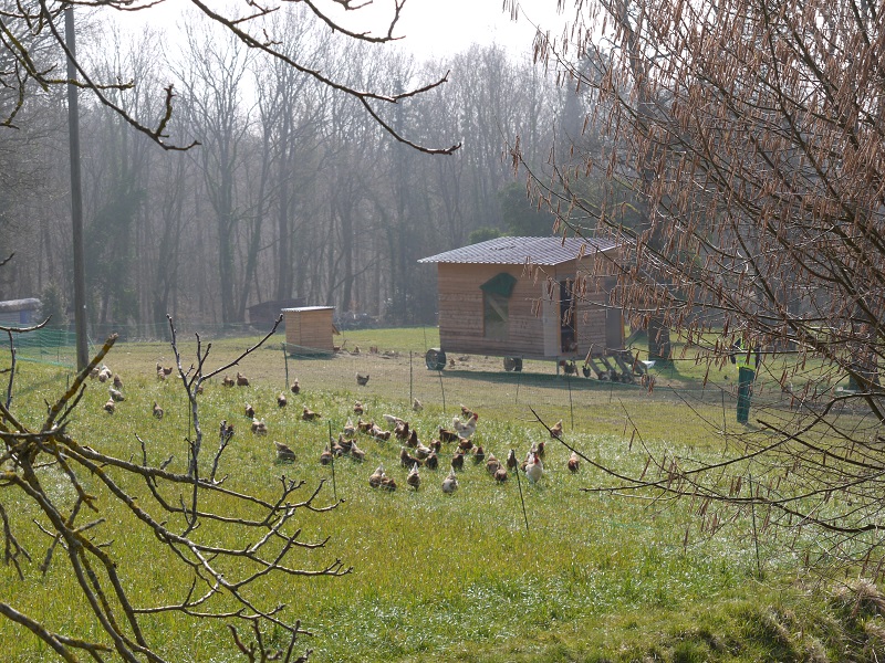 Hühnerhotel auf den Flächen des Wöpplinsberg